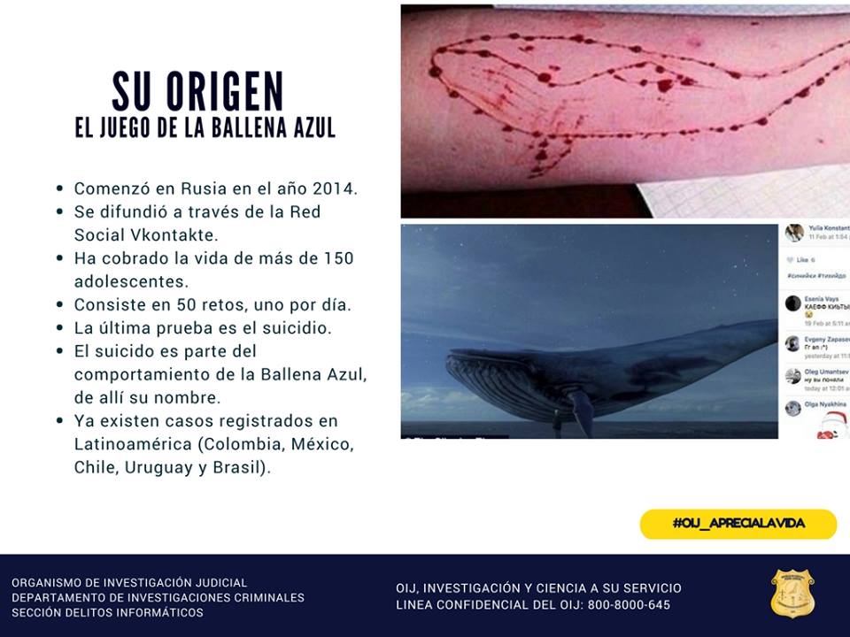 Perfil de las víctimas del juego «Ballena Azul»