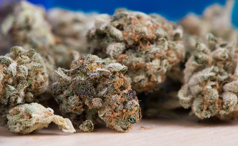 OIJ a tu servicio: Mitos y realidades de las drogas